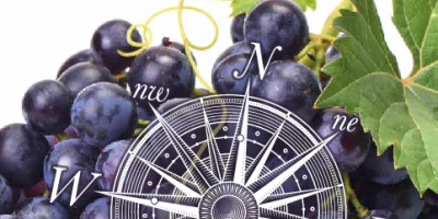 Yunanistan'da üzüm yetişir mi? - Kapak Görseli